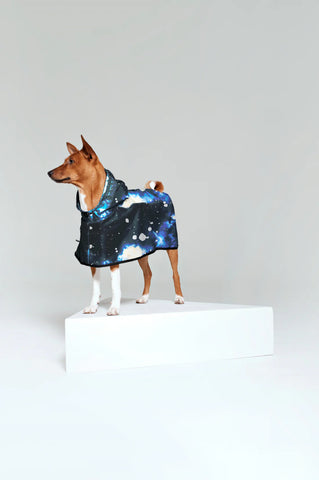 Rainkiss Rain Dog Poncho Starry Night